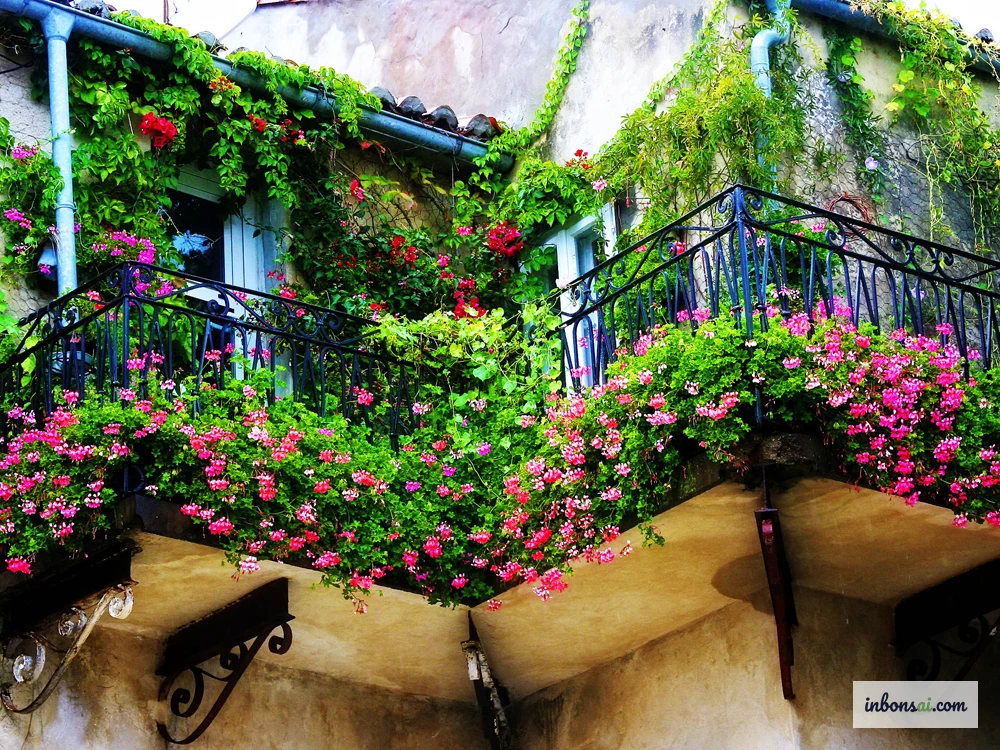 色とりどりの花と観葉植物で彩られた緑豊かなベランダ
