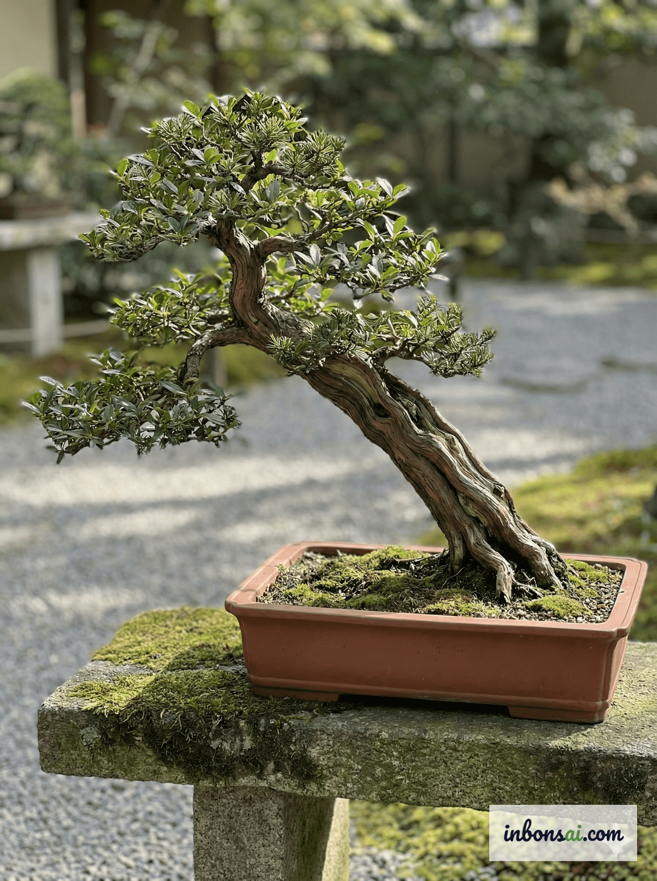 Curved Bow Shoots the Moon