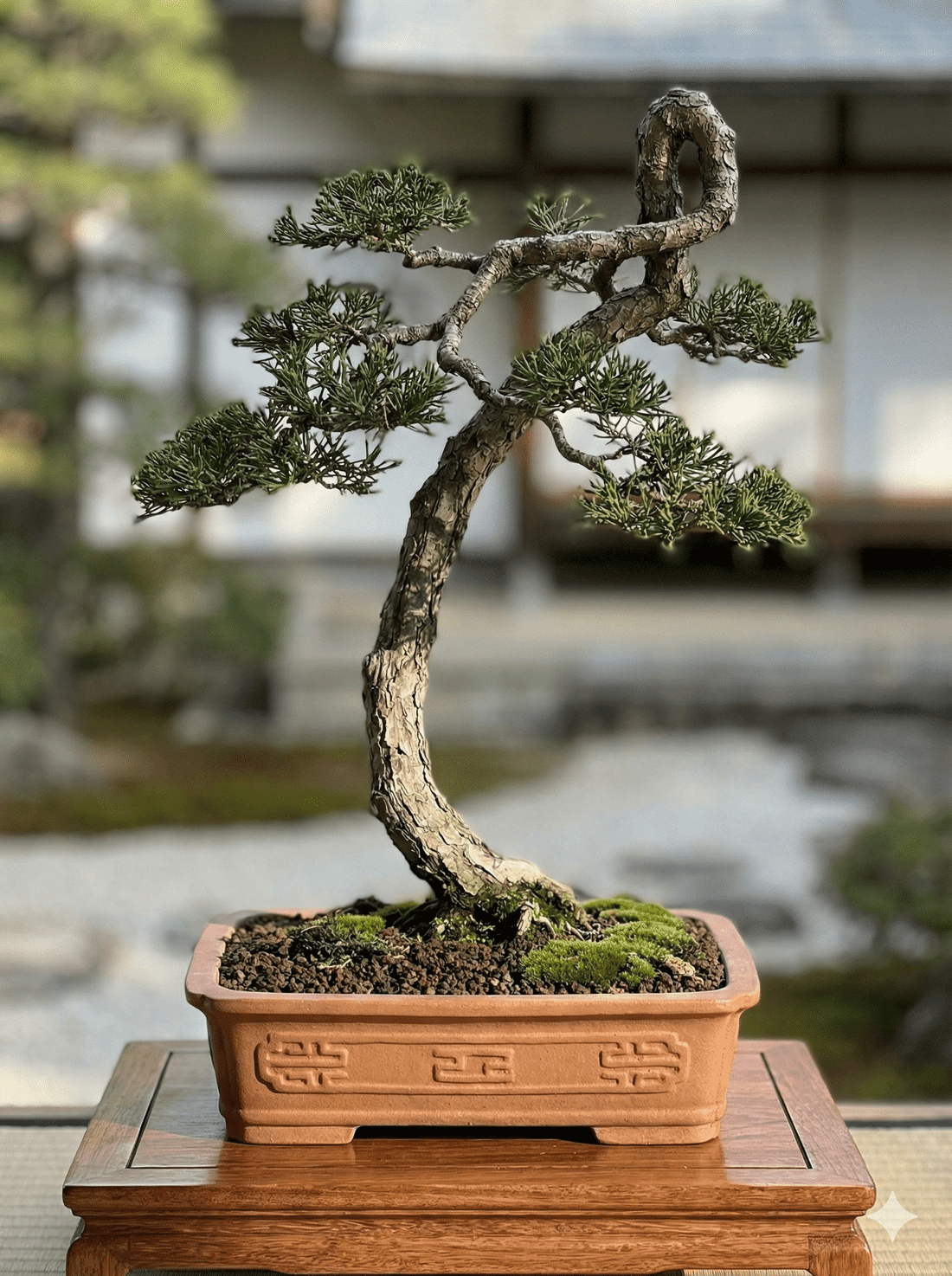 Knowing the steps to return - I wish to ride the wind back to the blue sky