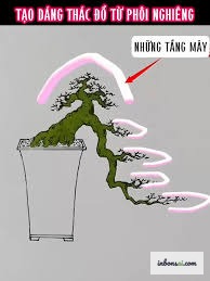 Những lỗi phổ biến khi tạo dáng đổ bonsai