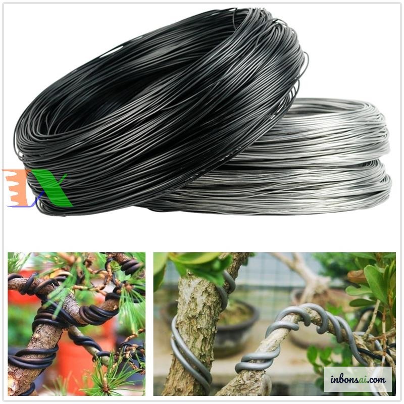 Properly prepared bonsai with essential tools ready for shaping work