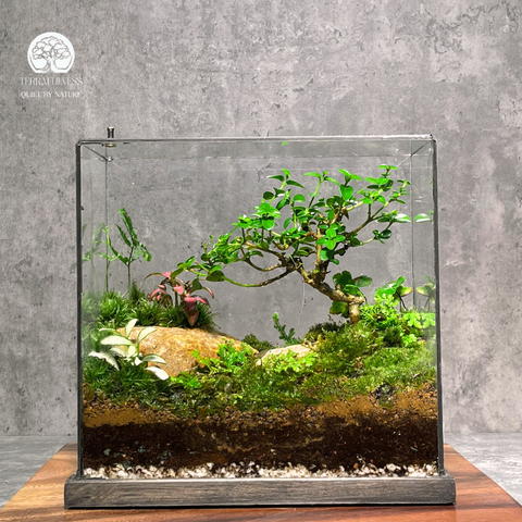 静寂な日本庭園と伝統的な建築、盆栽テラリウムのデザインインスピレーション