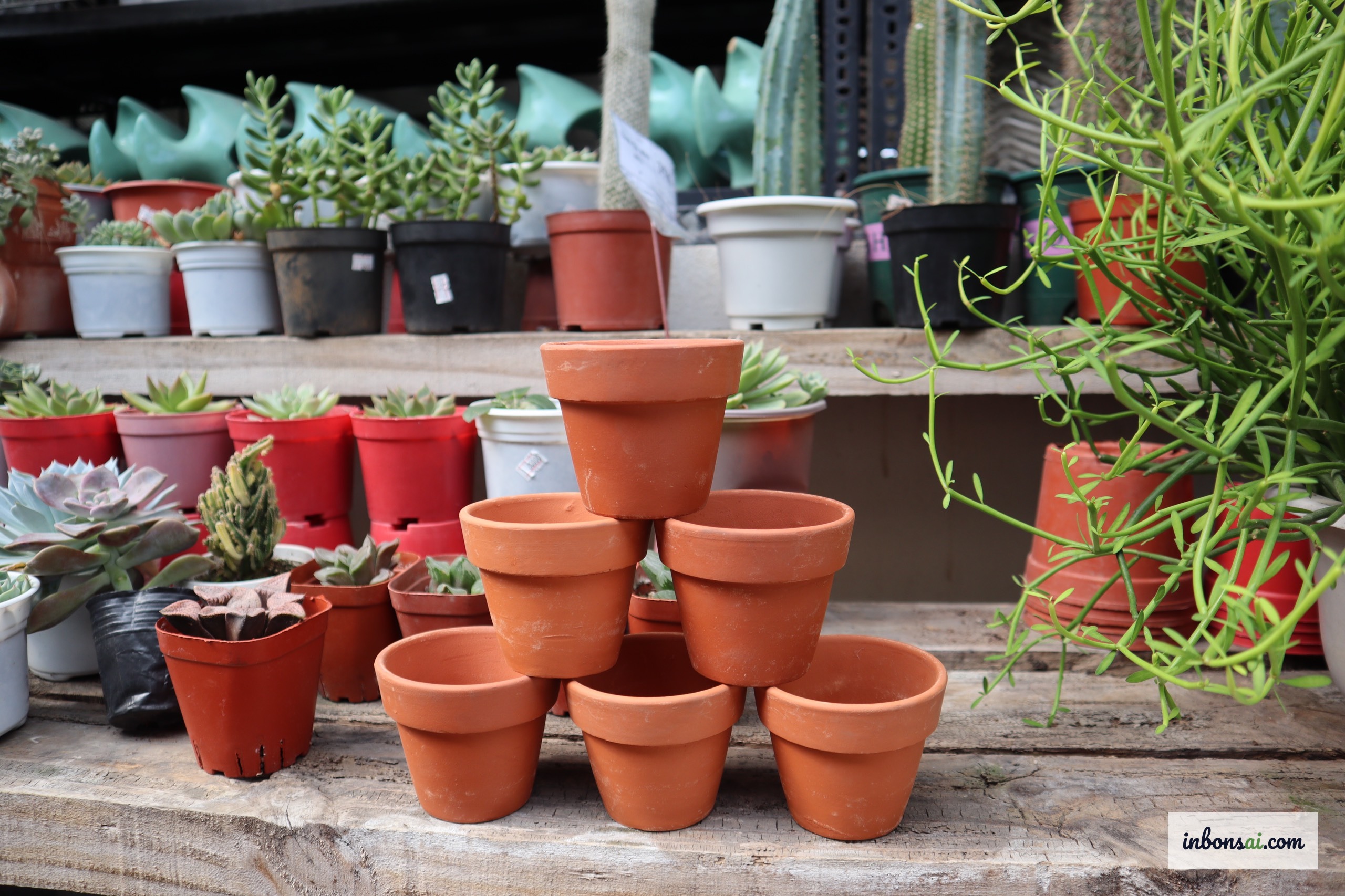 様々な形とサイズの陶器製盆栽鉢のコレクション