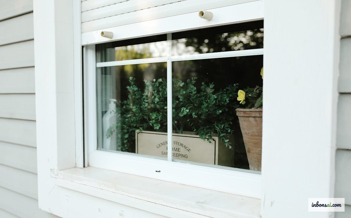 盆景放置在窗边接受自然光照