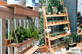 木质多层展示架上摆放着不同高度的盆景