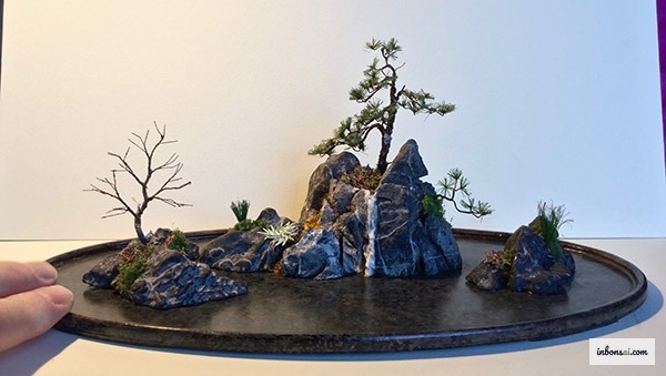 传统日式风格的盆景与观赏石组合陈设