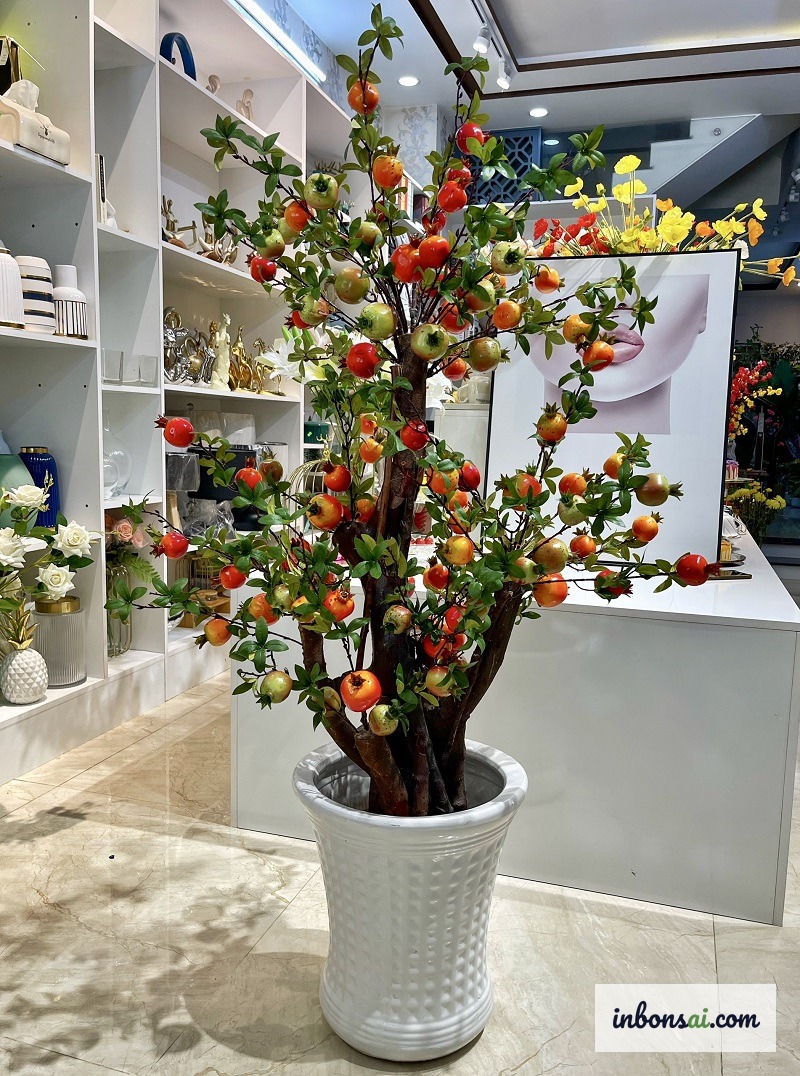 ザクロ盆栽への適切な水やりと管理テクニック