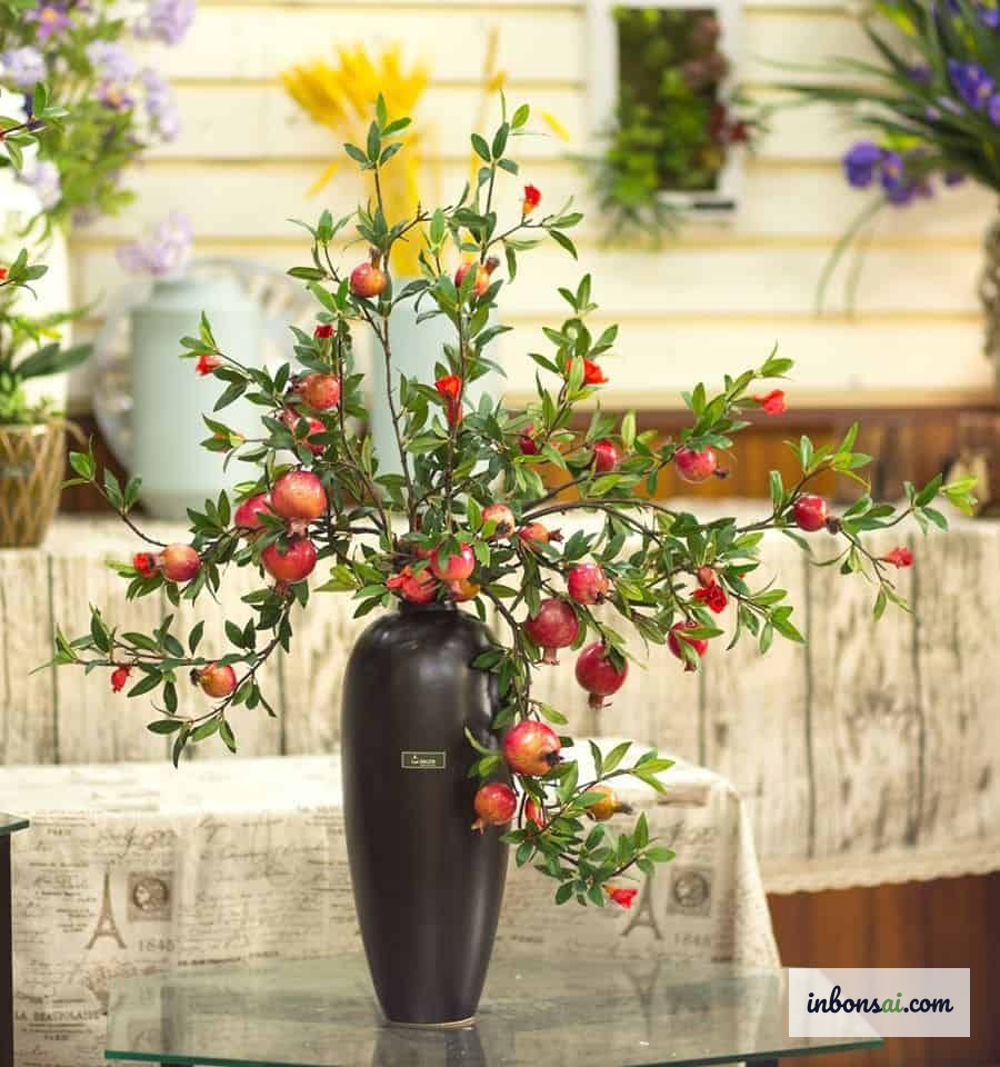 風水効果を高めるザクロ盆栽の室内配置