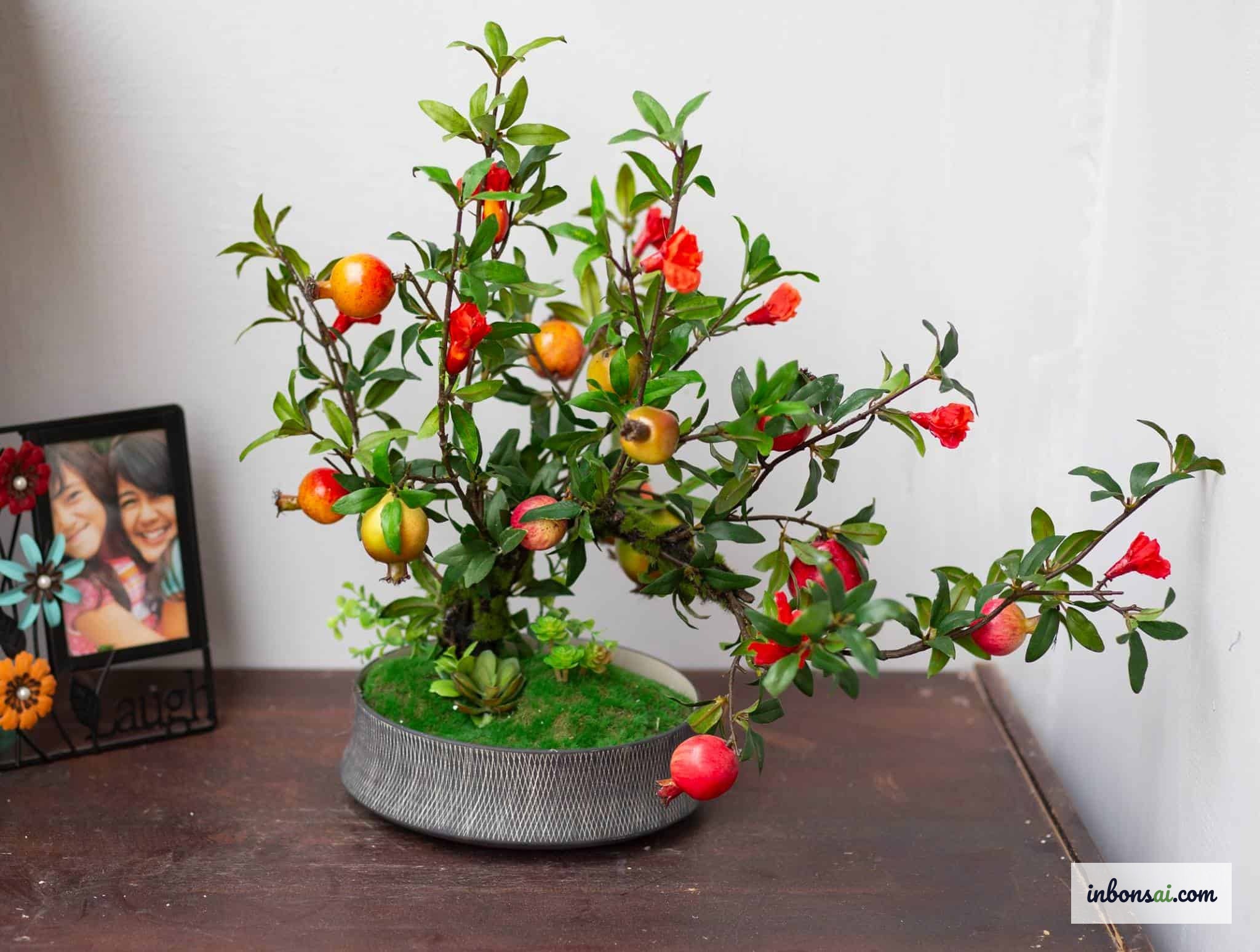 豊かさと繁栄を象徴するザクロの実と種