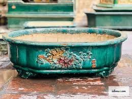 茶桌用15至25厘米小盆景尺寸对比