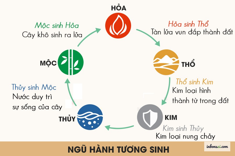 Bảng ngũ hành tương sinh tương khắc giúp chọn cây phong thủy phù hợp