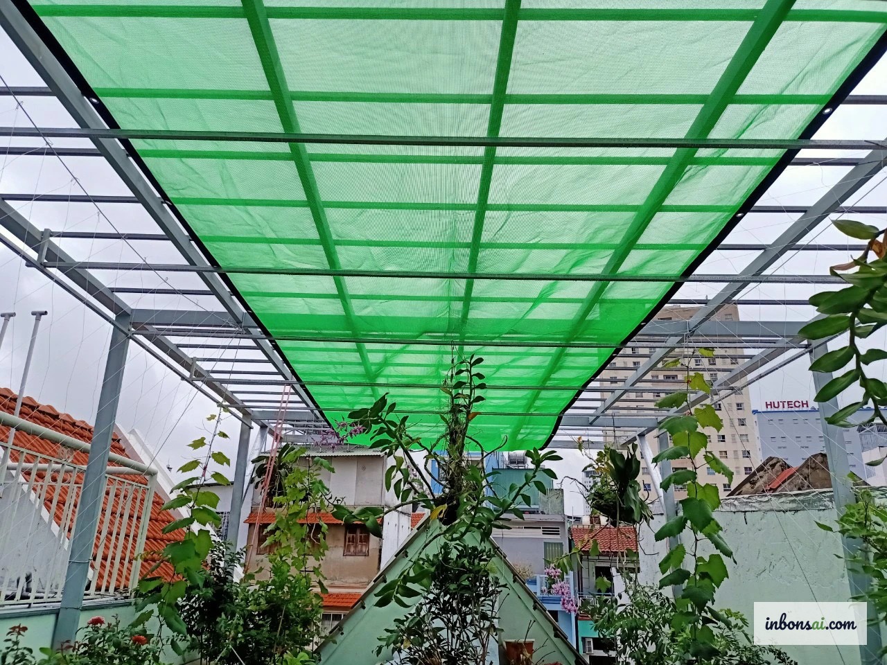 5月6月极端高温期用遮阳网保护的盆景