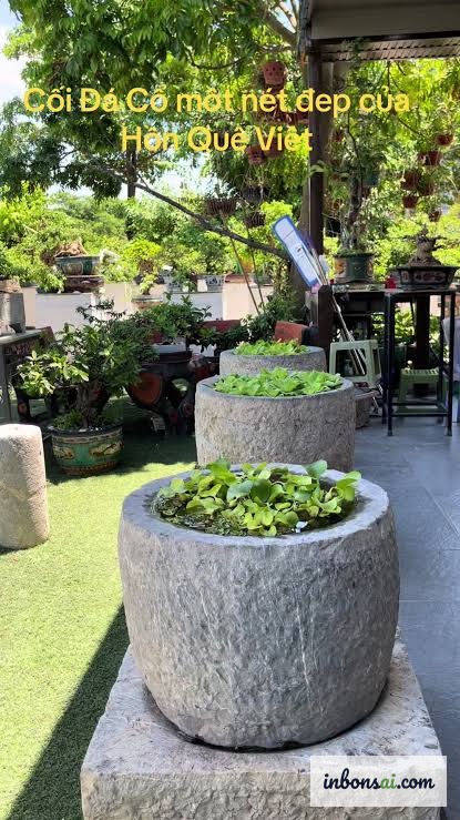 Bonsai in recyceltem Steinmörser im klassischen Garten