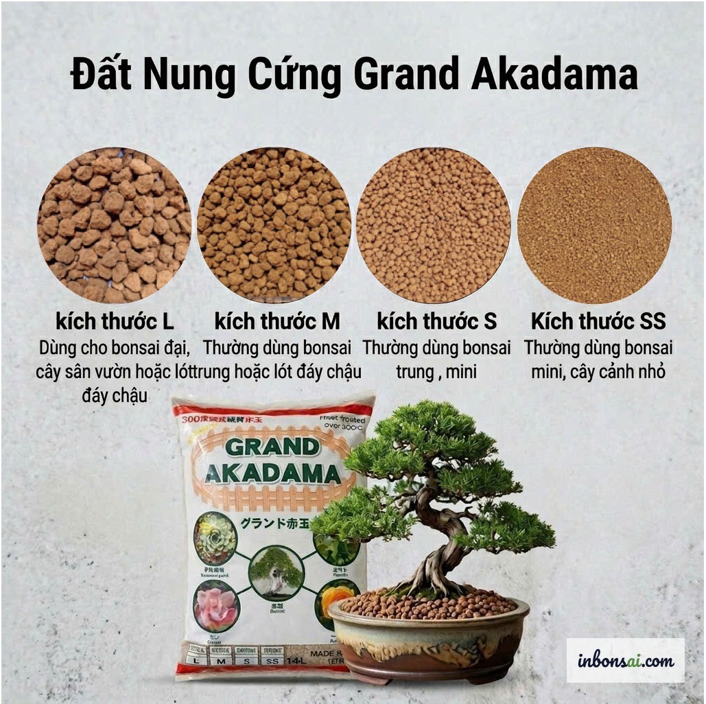 Thành phần hỗn hợp đất bonsai muội hồng: akadama, pumice và trấu hun trải trên bàn