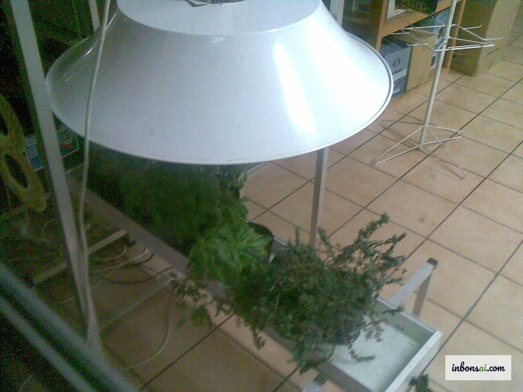 适合植物光合作用的LED补光灯全光谱特性