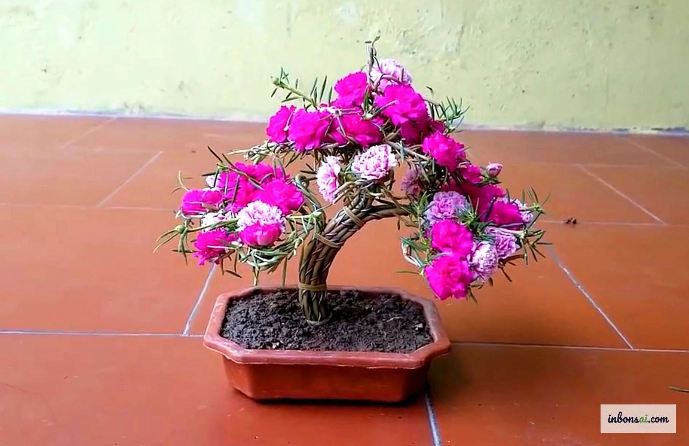 Chậu bonsai mini trồng hoa nở đẹp