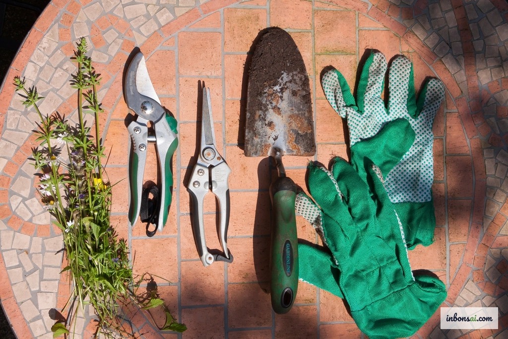 盆景修剪剪刀与凹面剪刀等专用工具套装