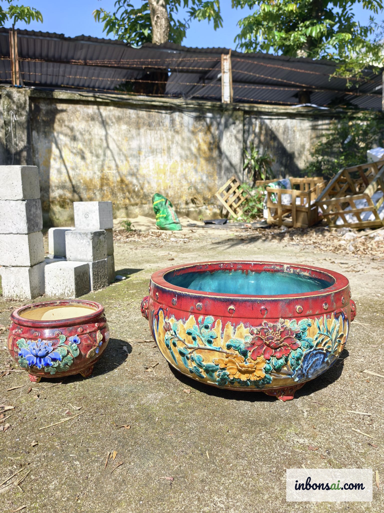 盆栽の根剪定テクニック — 健康な根を残し、古い根を取り除く