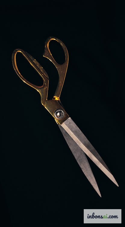 盆景剪刀钢制刀刃细节特写