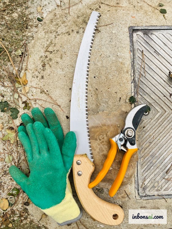 各类盆景剪刀排列对比展示