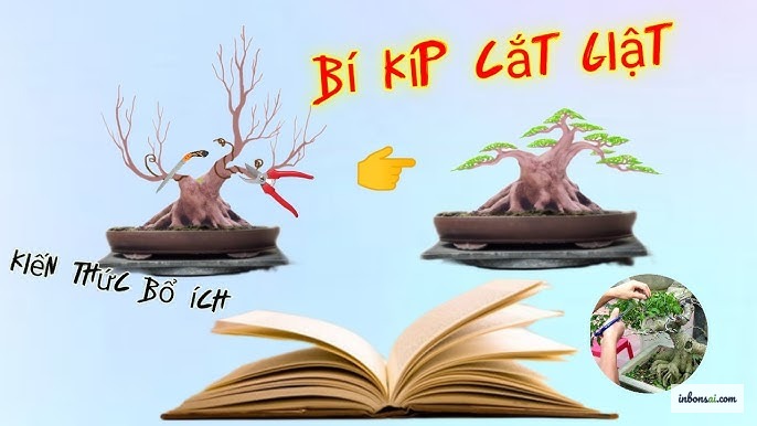 嶺南盆栽の切り返し技術が生み出す繊細な小枝の枝分かれ