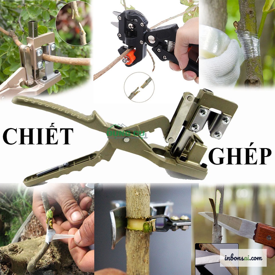 盆栽取り木の道具：ナイフ、スファグナムモス、透明ビニールと結束材