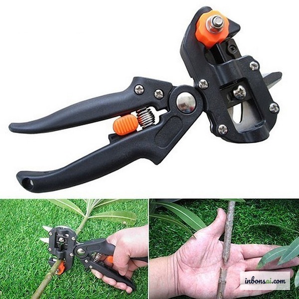 盆栽接ぎ木の道具：接ぎ木ナイフ、接ぎ木テープ、接ぎ木ワックス、消毒用アルコール