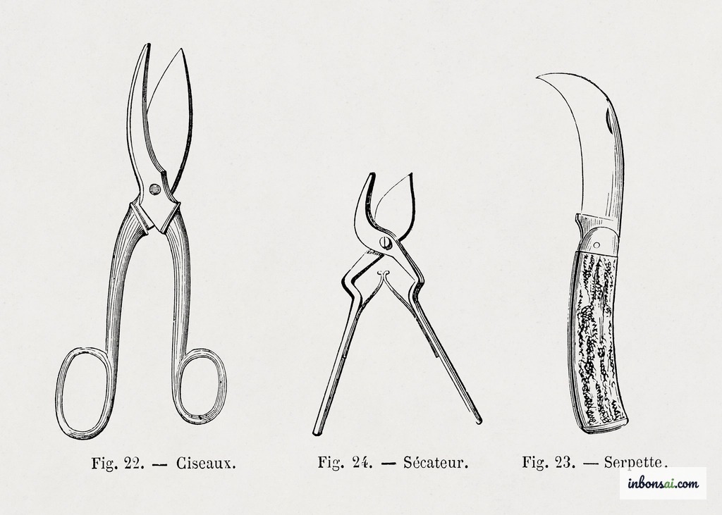 专业嫁接工具：嫁接刀、修枝剪和嫁接膜