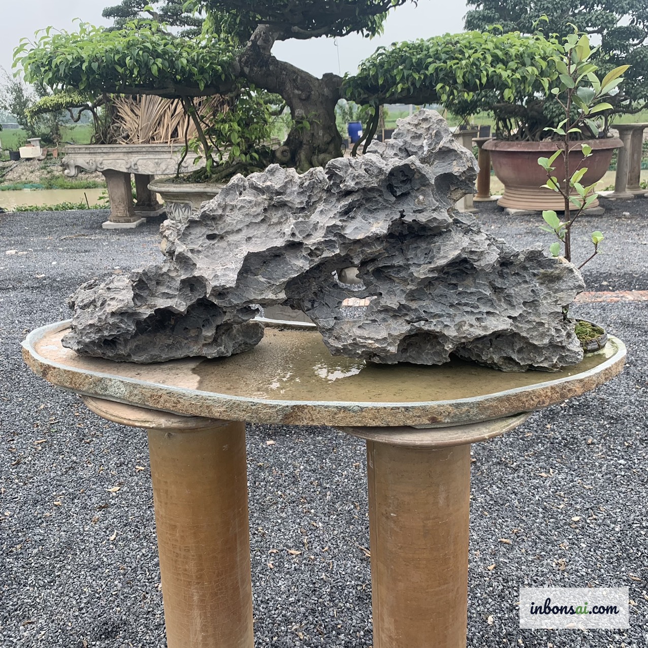 石付き盆栽に使われる自然石:日本式の石庭をイメージさせる岩