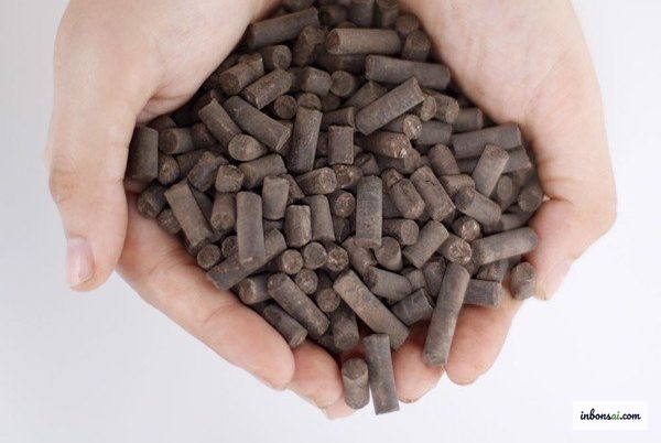 Phân bón hữu cơ dạng viên dùng cho bonsai