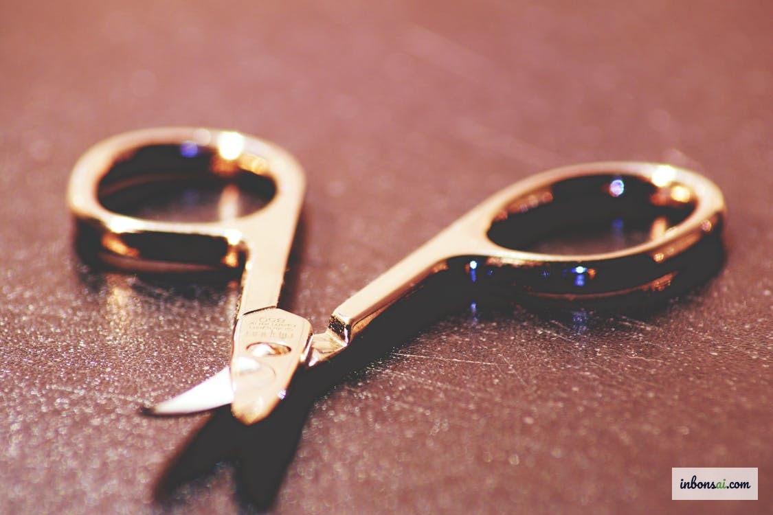 Dụng cụ cắt tỉa bonsai chuyên dụng trên bàn gỗ