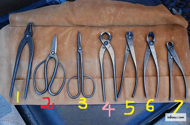 盆景造型所需的铝线和修枝剪等专业工具