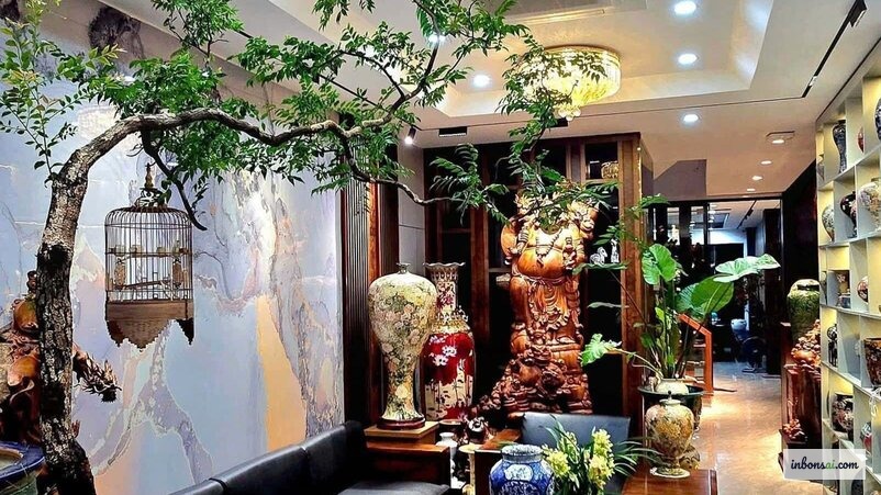 Cây muội hồng trẻ đang được tạo hình bonsai với dây nhôm