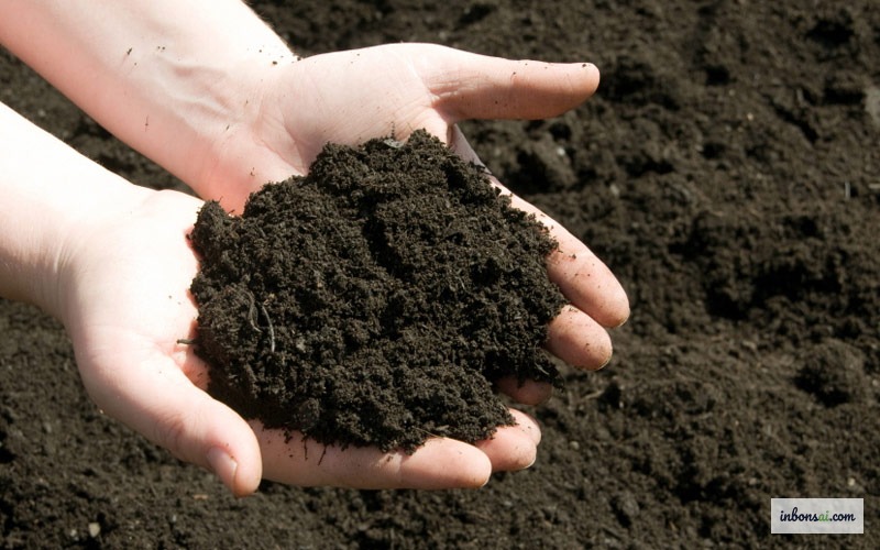 盆栽に使うミミズ堆肥(バーミコンポスト)の深い茶色の有機肥料