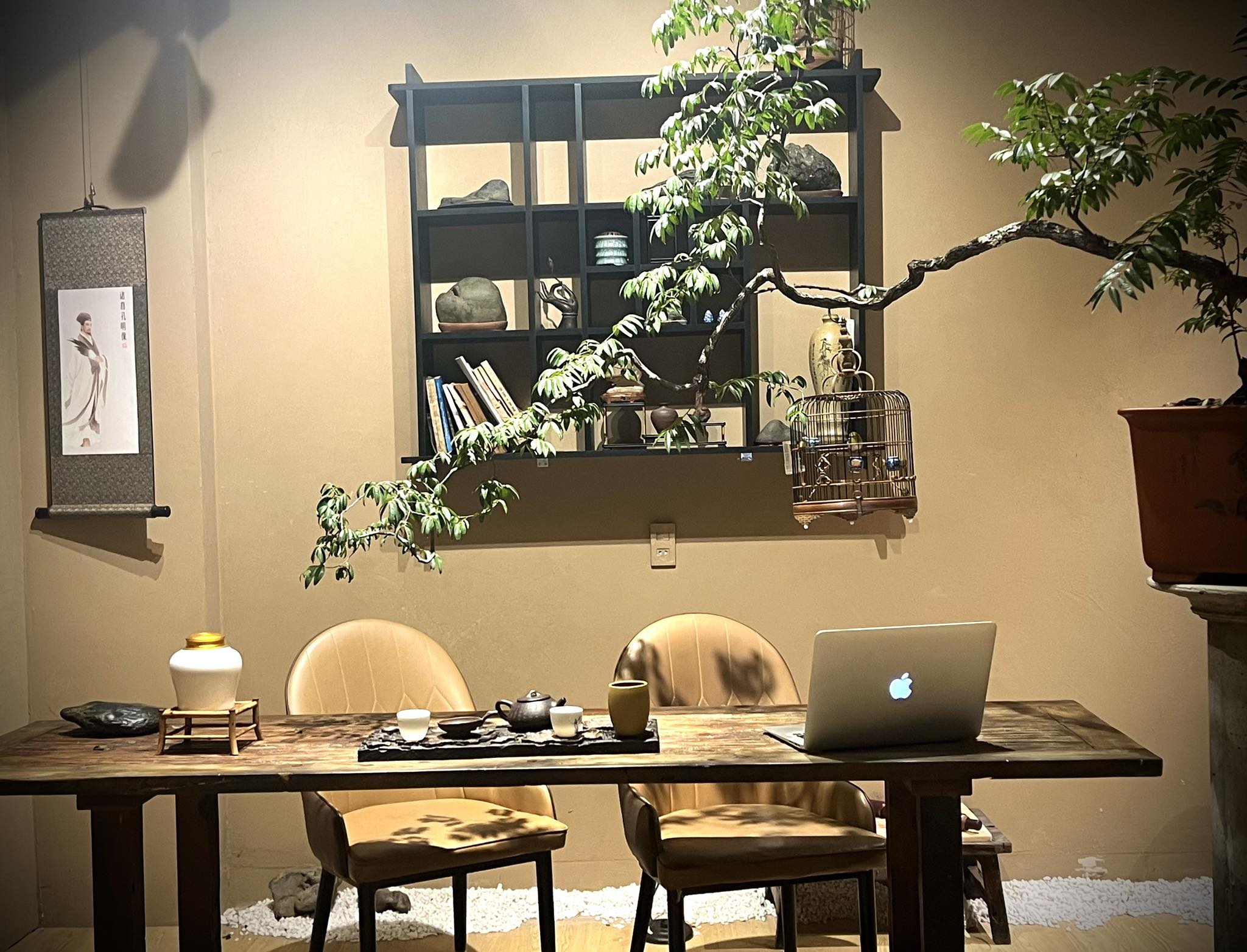 Muội hồng bàn trà