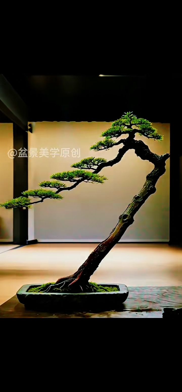 Luxs natural beauty style bonsai tree